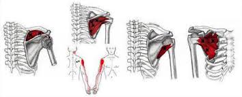 Trigger Point Therapy